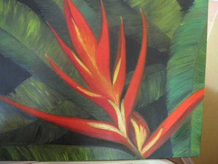 Heliconia