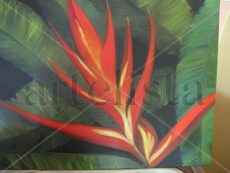 Heliconia