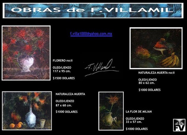 obras de fredy villamil 