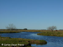 Arroyo espinel 2