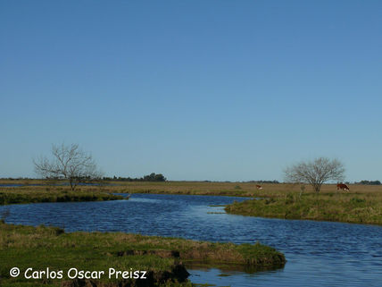 Arroyo espinel 2