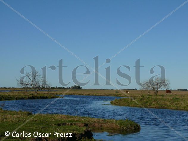 ARROYO ESPINEL 2