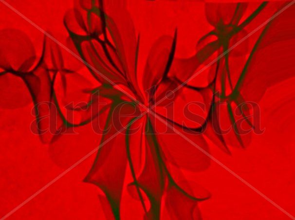 ROJO,NEGRO  Y  SOMBRAS
