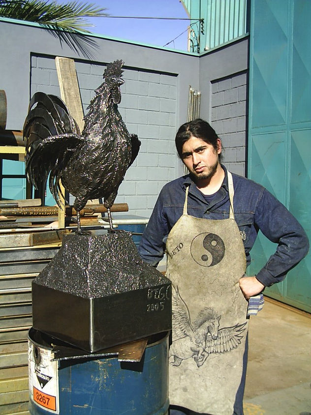 gallo     recuerdo de estrellas