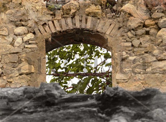 La Torre Naturaleza Técnicas alternativas