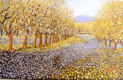 Primavera en el Vero