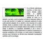 metabolismos