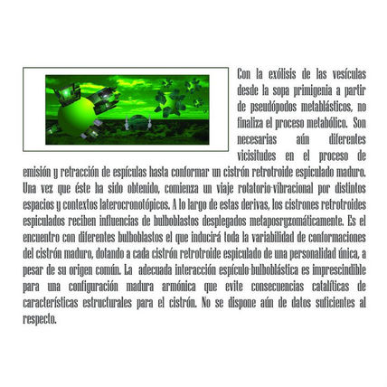 Metabolismos