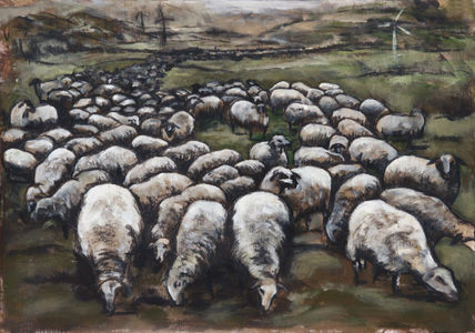 Apunte de ovejas