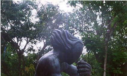 universidad del sinú