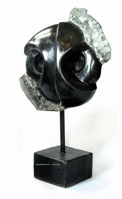 Fosil no-8