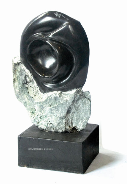Fosil no -9