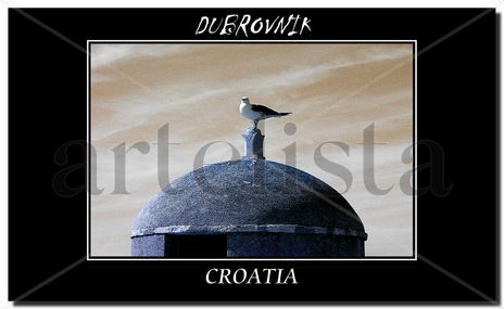 Gaviota