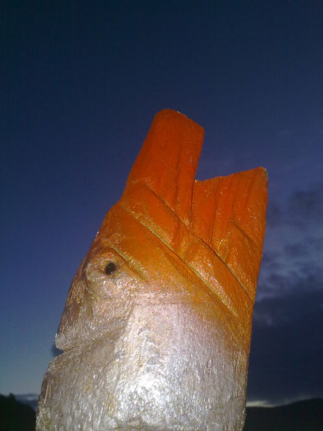 King of salmon!!!...