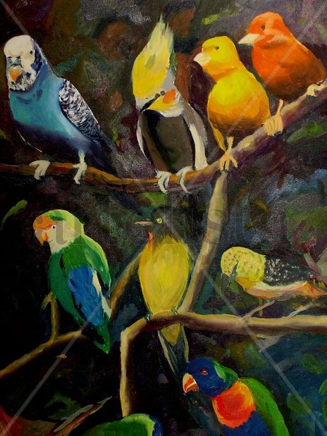 Pajaros sobre oscuros