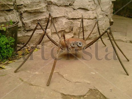 Doña Araña