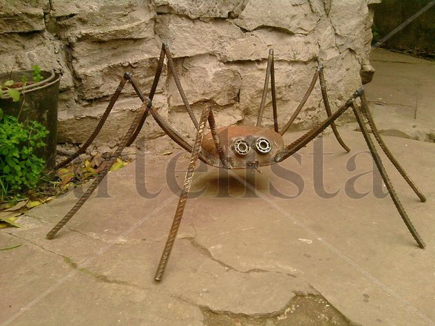 Doña Araña