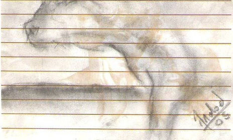 DIBUJOS PARA JAVI DE MABE