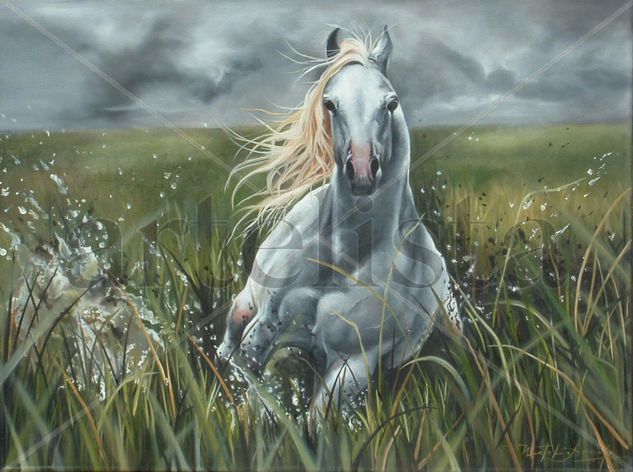 caballos Oil Canvas Landscaping