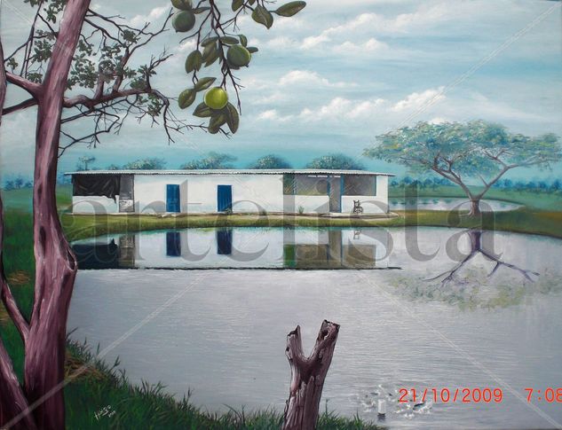 laguna cachamas Oil Canvas Landscaping