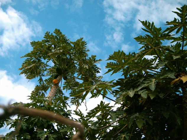 Edén Naturaleza Color (Química)