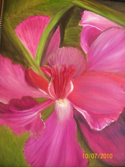 Orquidea II