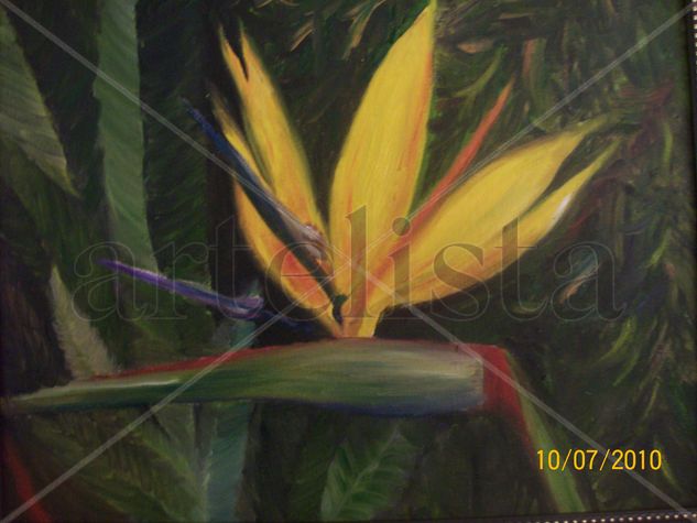 Ave del Paraiso Oil Canvas Floral Painting