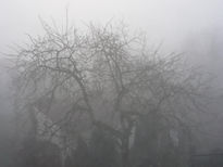 Niebla