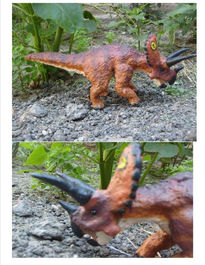 Triceratops