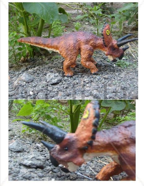 Triceratops