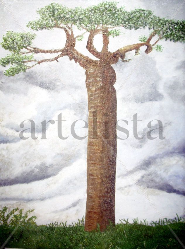 Baobab
