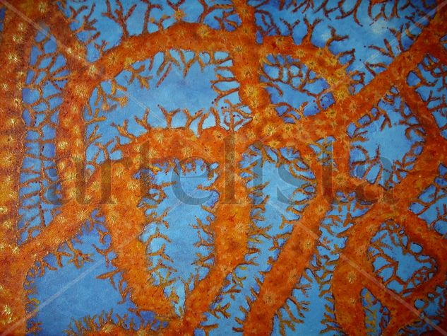 Coral Oil Textile Marine Painting