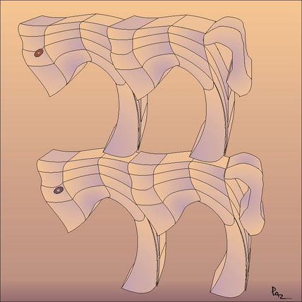 "burro de dos pisos"