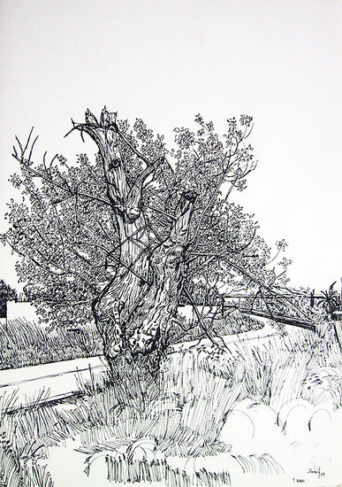 Árbol con carretera Tinta