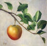 MANZANA