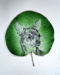 Hoja natural con perro