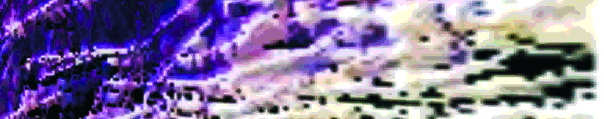 Imagen de portada