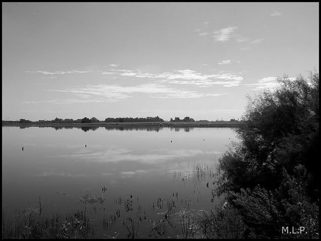 RIO SALADO Arquitectura e interiorismo Blanco y Negro (Digital)