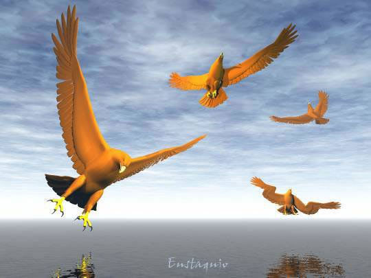 Águilas volando sobre el mar, (Eagles flying over the sea) 