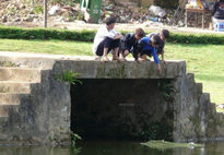 Algo pasa en el río