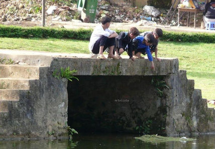 Algo pasa en el río