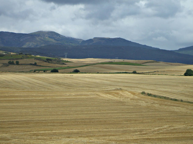 Castilla y Leon 