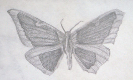 Dibujos