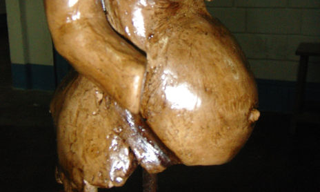 cuerpos