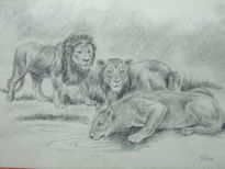 Leones