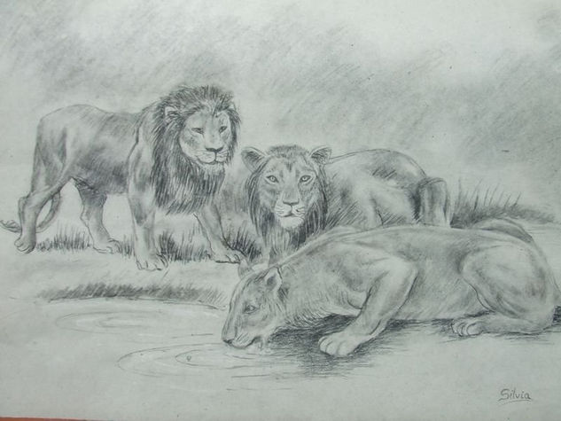 Leones 