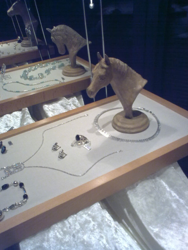 busto caballo 6 optubre 2010.
