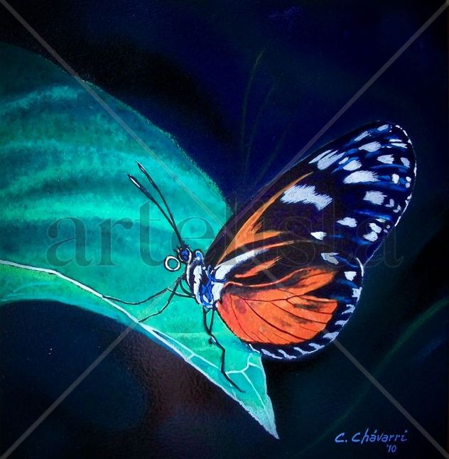 "Borboleta Nocturna"