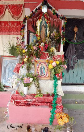 Guadalupe 160 Otras temáticas Color (Digital)