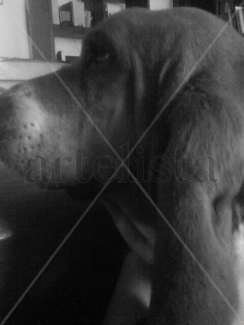 UN PERFIL UNICO